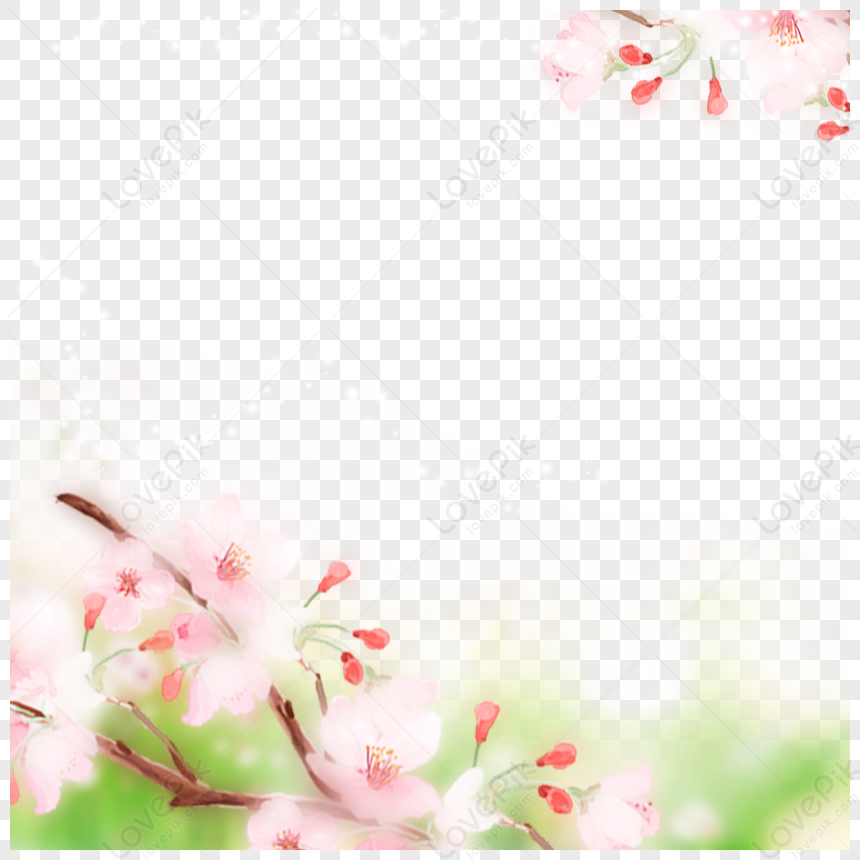 Romantic Pink Cherry Blossom Border Romantic Borders Spring Cherry