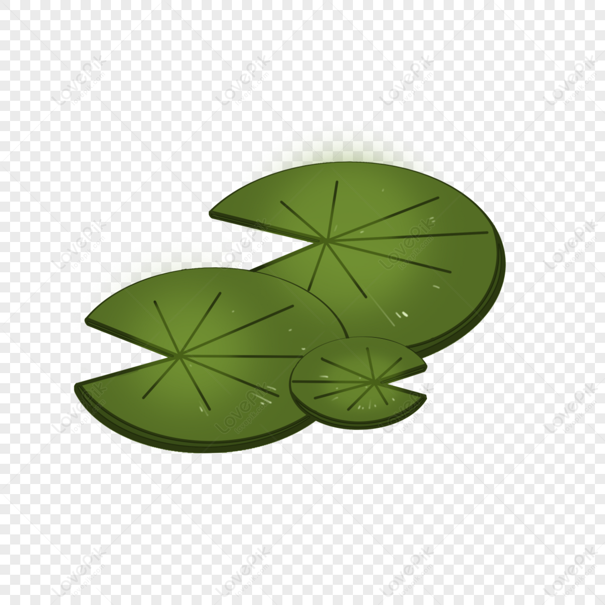 Three Flat Water Lilies 클립 일러스트 아트 수련 water PNG 일러스트 무료 다운로드 Lovepik