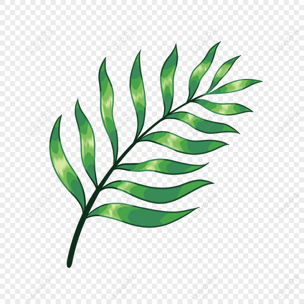 Palm Leaf Clipart Cartoon Green Fresh Branch Text Png Image Free