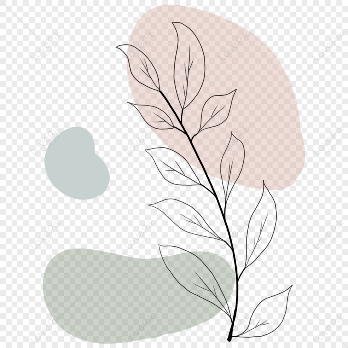 Nature Botanical Aesthetics Flowers Leaves Abstract Line Art Aesthetics