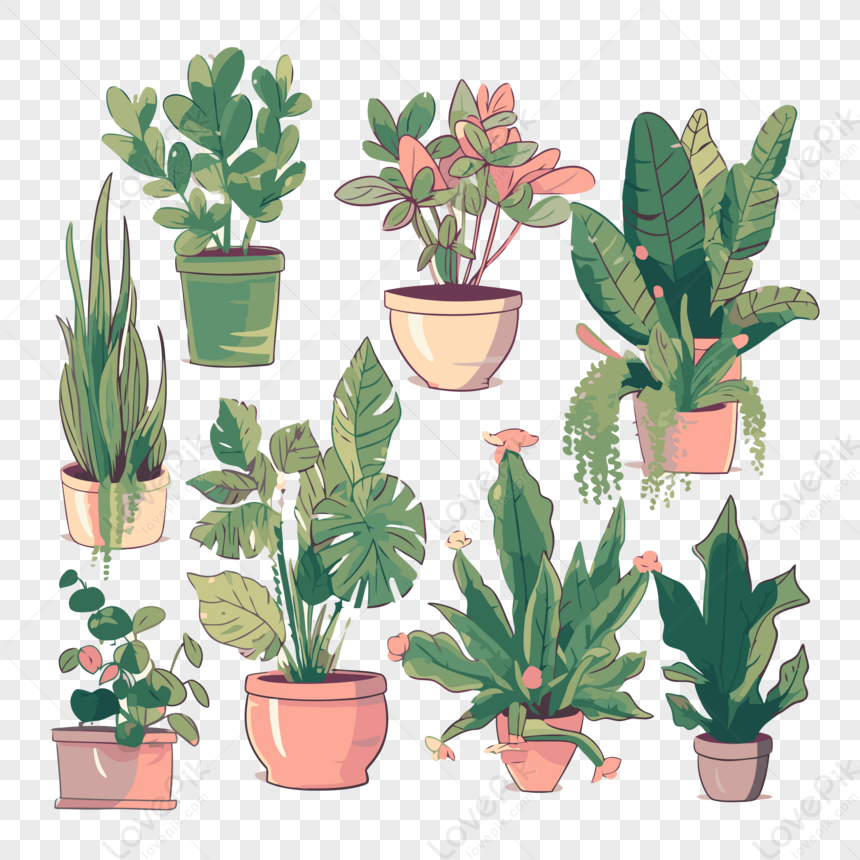 House Plants Vector Sticker Cartoon PNG Transparent Background And