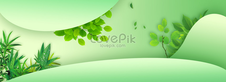 Simple Small Fresh Green Leaf E Commerce Background Banner Download Free |  Banner Background Image on Lovepik | 605641057