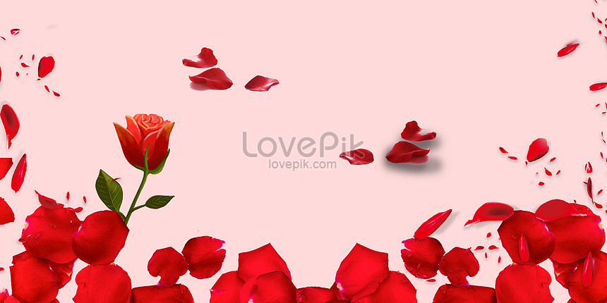 Romantic Background Of Rose Petals Download Free | Banner Background Image  on Lovepik | 400141420