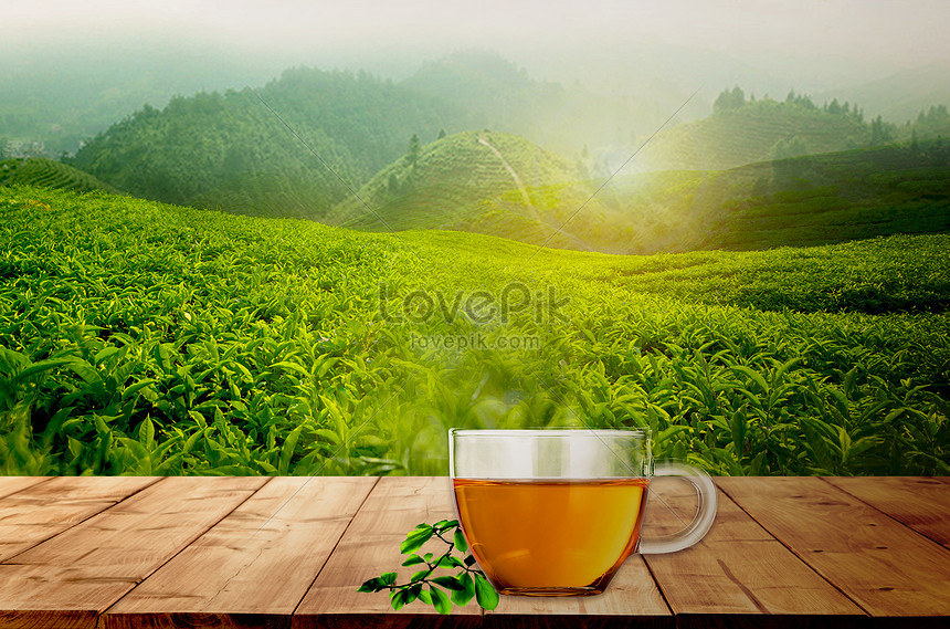 Fresh green tea background creative image_picture free download  