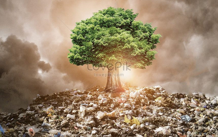 Rác thải: Đừng để rác thải phá hoại môi trường! Hãy xem những hình ảnh về rác thải để nhận thức được tầm quan trọng của việc bảo vệ môi trường. Những bức hình đẹp về rác thải sẽ khiến bạn suy nghĩ và tìm cách giải quyết vấn đề này.