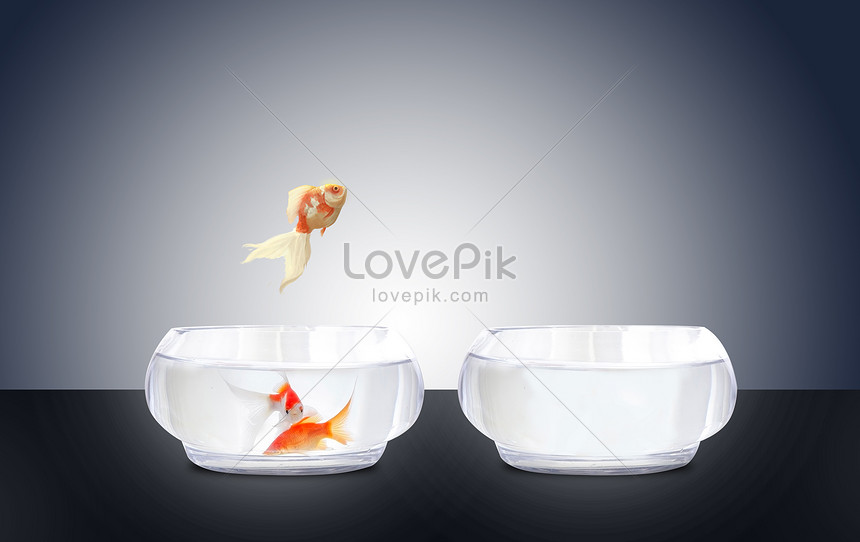 金魚が水槽から飛び出すイメージ クリエイティブ Id Prf画像フォーマットjpg Jp Lovepik Com