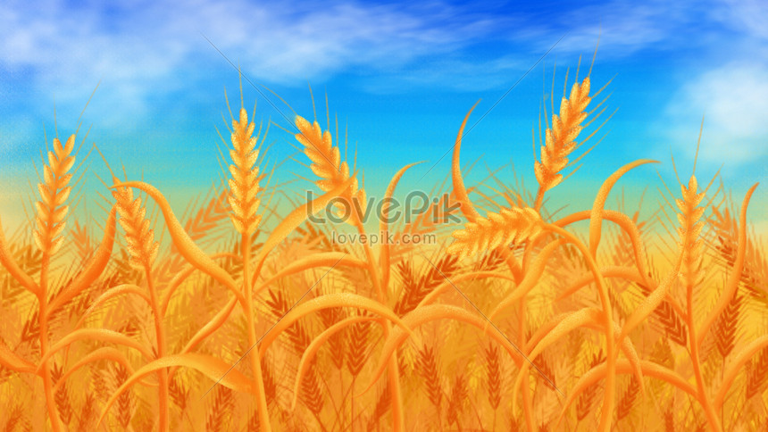 Bức tranh vẽ cây lúa chín sẽ khiến bạn nhớ về mùa thu ngập tràn sắc vàng rực rỡ trên những cánh đồng đồi núi. Hãy tưởng tượng mình đang đứng giữa một tràng lúa chín đỏ rực và cảm nhận sự bình yên của nông thôn.