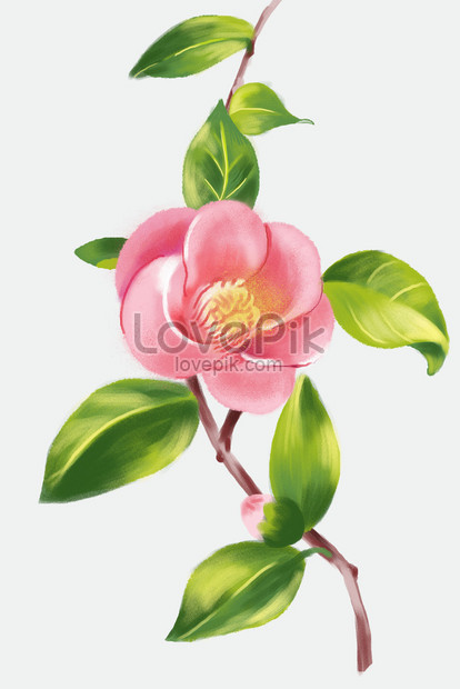 มือวาดดอกไม้สีชมพูสวยงดงาม ดาวน์โหลดรูปภาพ (รหัส) 630003457_ขนาด 5 Mb_รูปแบบรูปภาพ  Jpg _Th.Lovepik.Com