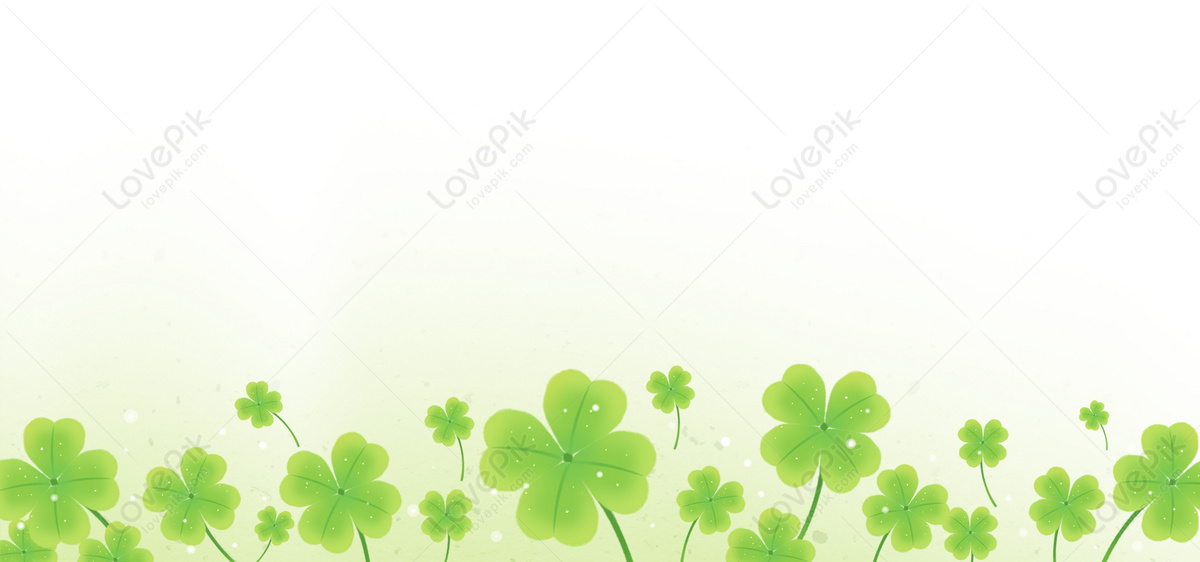 1 2 White Background Of Four Leaf Clover Download Free | Banner Background  Image on Lovepik | 400166348