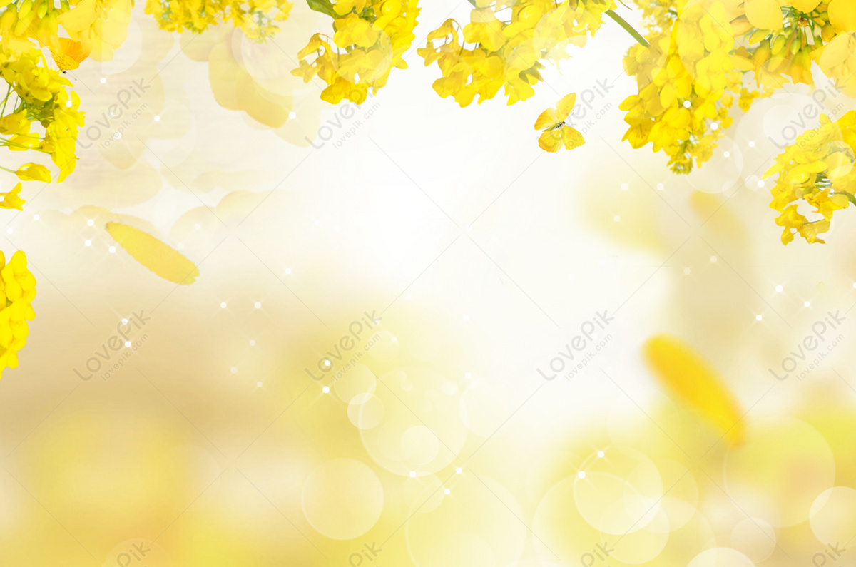 yellow nature wallpaper