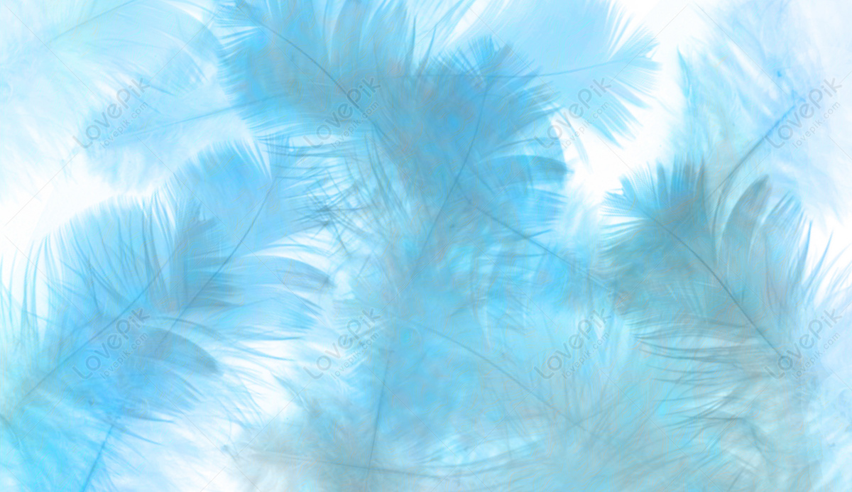 Blue Feather Background Download Free | Banner Background Image on ...