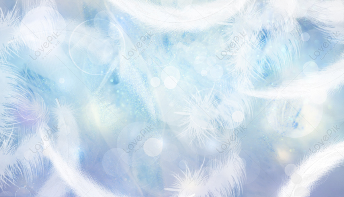 Fantasy Feather Background Download Free | Banner Background Image on ...