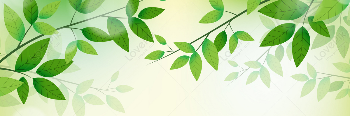Fresh Green And Simple Background Download Free | Banner Background Image  on Lovepik | 400107217