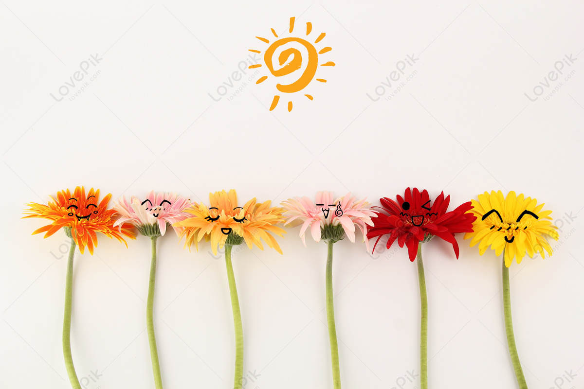 Get Together In The Sun Download Free | Banner Background Image on Lovepik  | 500384930
