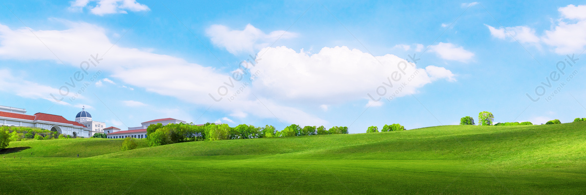 Grass Background Images, 6400+ Free Banner Background Photos Download -  Lovepik