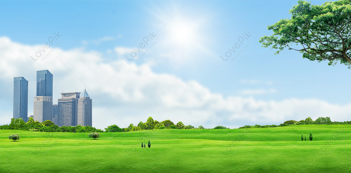 Đồng Cỏ, Nền Trời: Một khung cảnh đẹp tuyệt vời của thiên nhiên trong xanh. Với những đồng cỏ mênh mông, các đường nét tinh tế của nền trời, những bức ảnh này chắc chắn sẽ làm cho bạn cảm thấy như đang thảnh thơi trong lòng thiên nhiên.