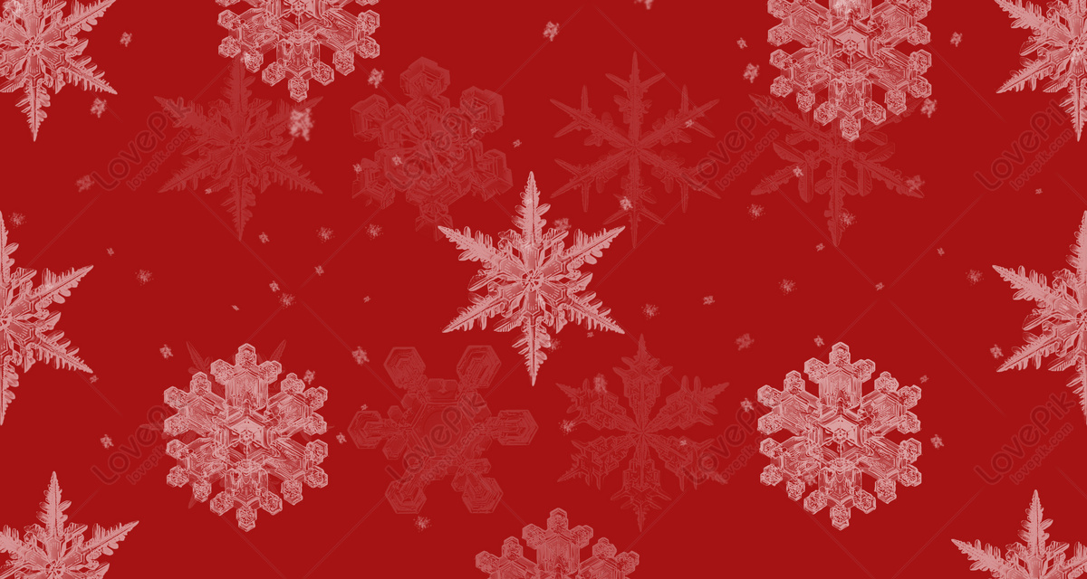 Hình nền Giáng sinh đỏ tuyết miễn phí: Bạn đang muốn tìm kiếm một chiếc hình nền Giáng sinh đẹp mà lại miễn phí? Hãy ghé thăm ngay hình nền Giáng sinh đỏ tuyết miễn phí! Chúng tôi sẽ cung cấp bạn những hình ảnh đẹp mắt nhất, chất lượng cao và hoàn toàn miễn phí để bạn thỏa sức sáng tạo.