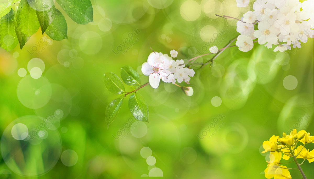 봄 배경 이미지, Hd 봄, 봄 배경, 잎 배경 사진 무료 다운로드 - Lovepik