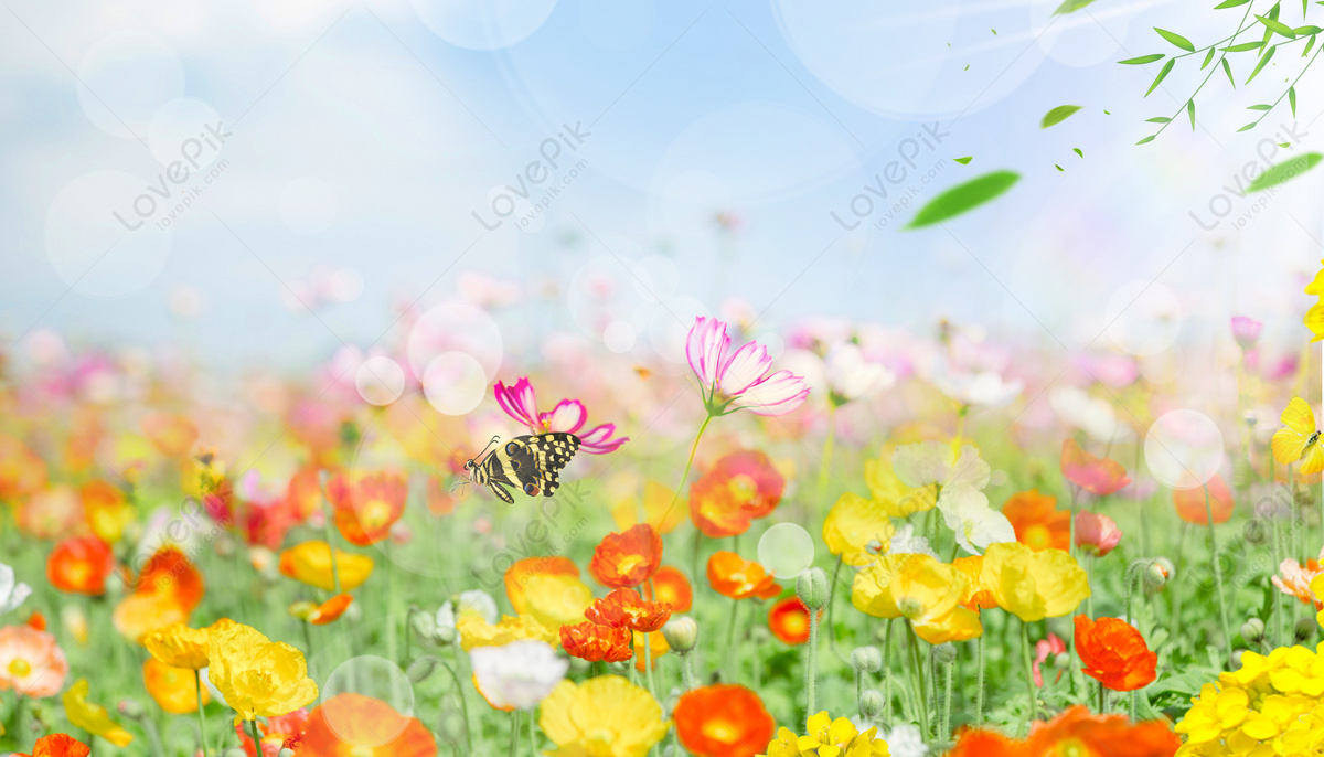 봄 배경 이미지, Hd 봄, 봄 배경, 잔디 배경 사진 무료 다운로드 - Lovepik