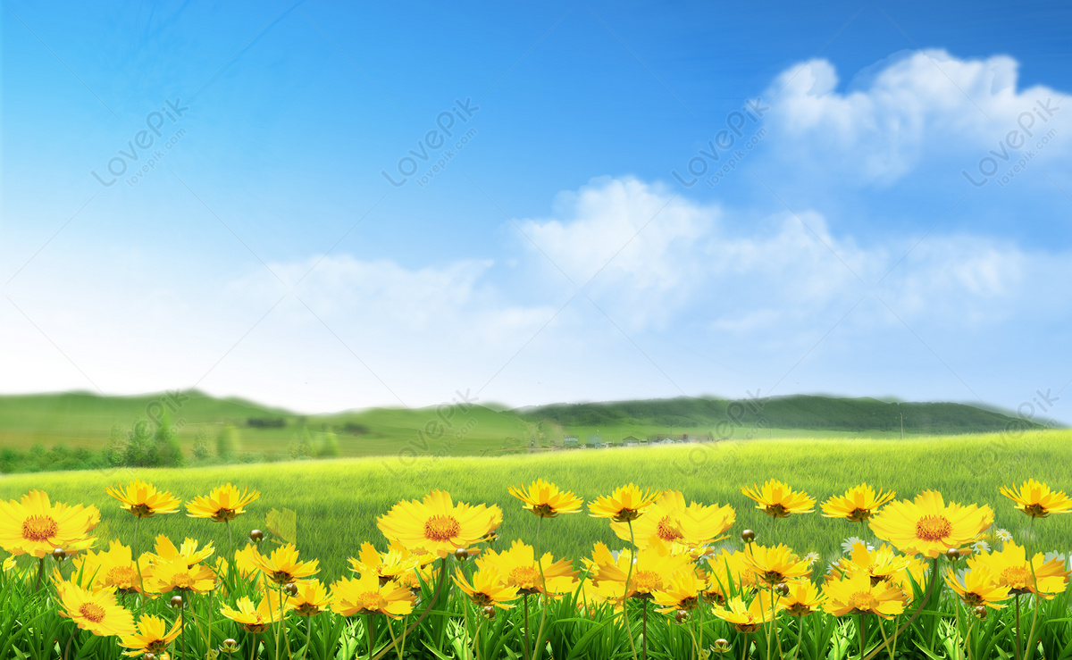 Ảnh đẹp mùa xuân – Bộ sưu tập hình ảnh tuyệt vời nhất