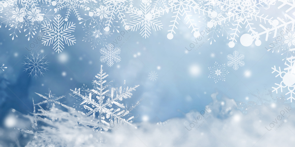 Winter Snowflake Download Free | Banner Background Image on Lovepik |  401657210