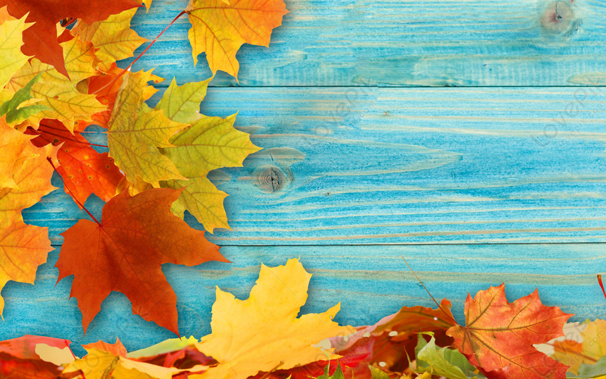 Autumn Leaves Download Free | Banner Background Image on Lovepik ...