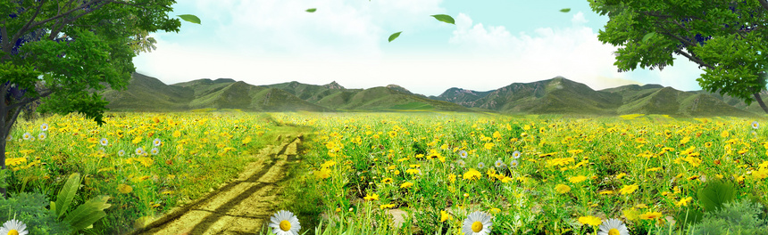 Environmental Background Download Free | Banner Background Image on ...