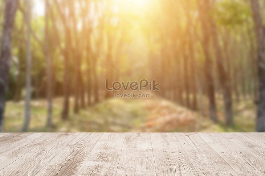 лес с деревянной доске размытым фоном изображение_Фото номер 450016249_PSD  Формат изображения_ru.lovepik.com