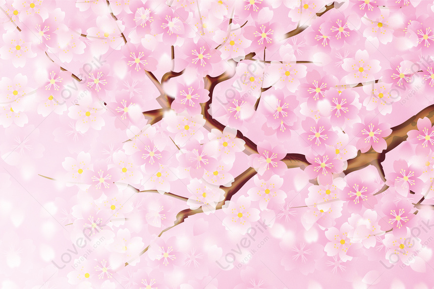 Hình nền hoa anh đào: Hòa cùng không khí mùa xuân, hình nền hoa anh đào sẽ mang đến cho bạn cảm giác tươi mới và sum vầy. Những bông hoa anh đào nở rộ trên nền màu hồng nhẹ, tạo nên một bức tranh thiên nhiên đẹp mê hồn. Hãy để hình nền hoa anh đào trở thành niềm vui và nguồn cảm hứng cho bạn trong những ngày đầu xuân tươi đẹp.