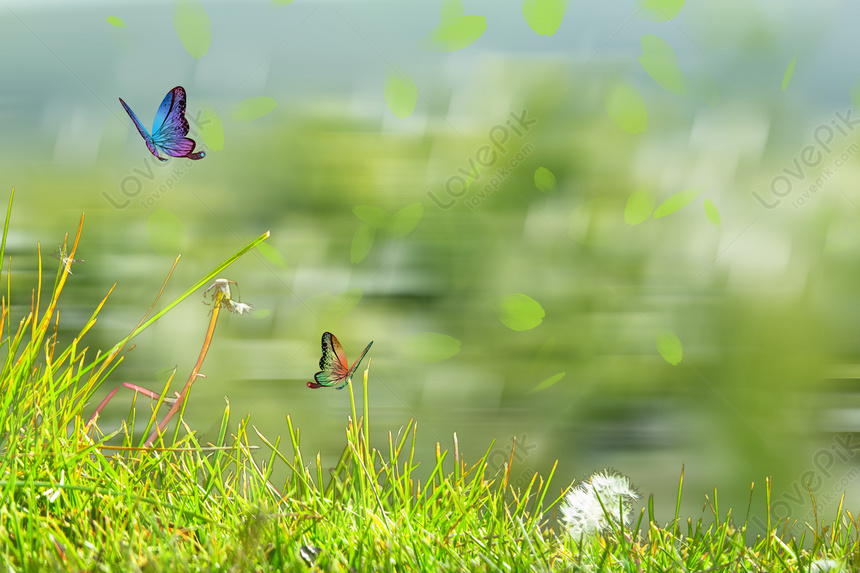 Spring Background Download Free | Banner Background Image on Lovepik