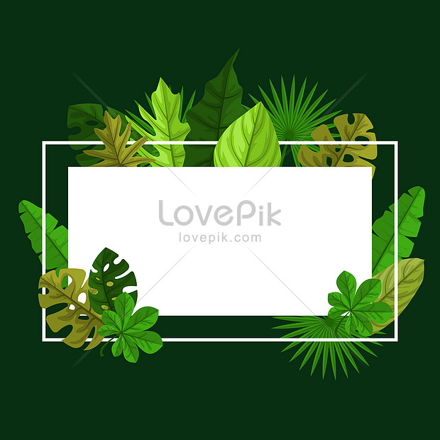 стильные зеленые тропические растения листья рамка баннер фон  изображение_Фото номер 450055352_JPG,EPS Формат изображения_ru.lovepik.com