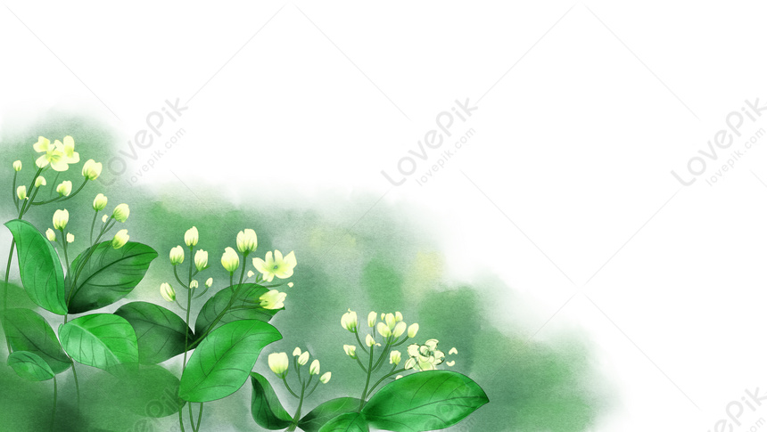 Summer Jasmine Flowers Background Download Free | Banner Background