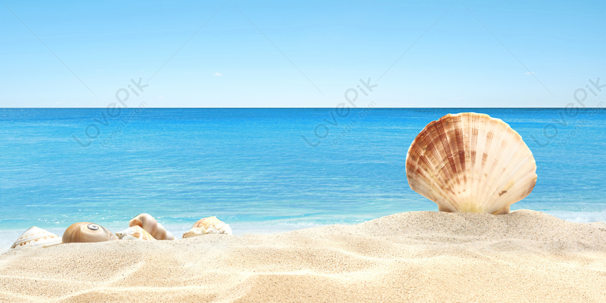 The Cool Background Of The Beach Summer Download Free | Banner ...