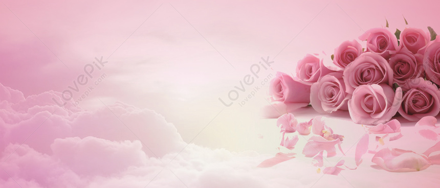 Valentines Day Banner Download Free | Banner Background Image on ...