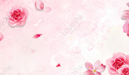 Beautiful flower background stock images collections for free download -  