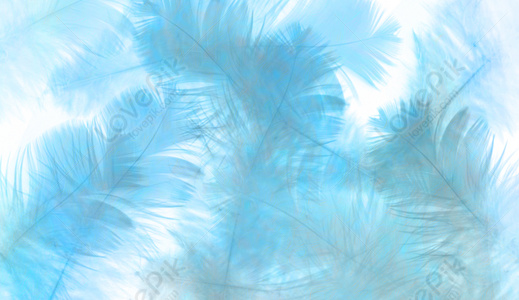 Feather Images, HD Pictures For Free Vectors & PSD Download 