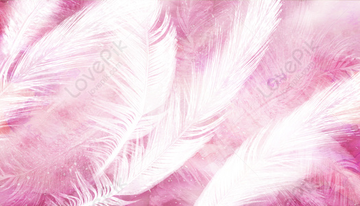 Feather Background Images, HD Pictures For Free Vectors & PSD Download -  