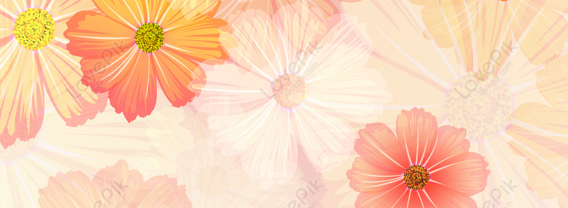 Flower Banner Background Download Free | Banner Background Image on
