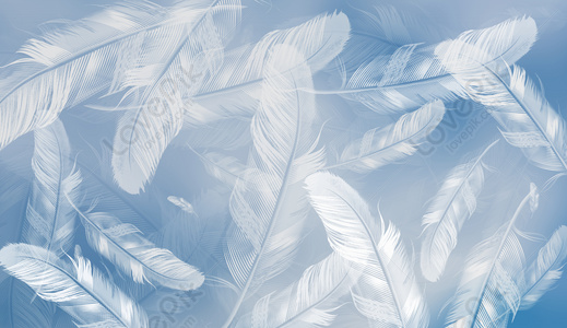 feather pattern wallpaper