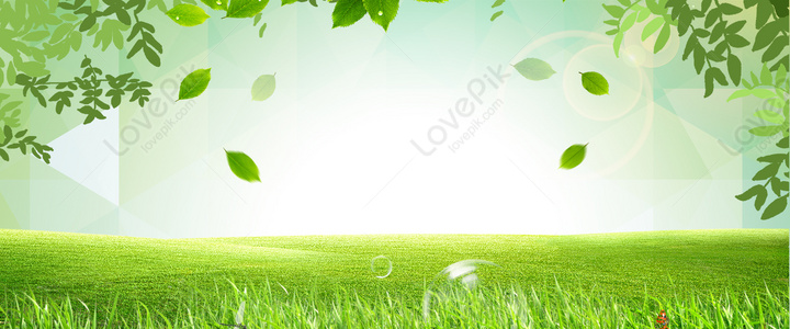 Grass Background Images, 6400+ Free Banner Background Photos Download -  Lovepik