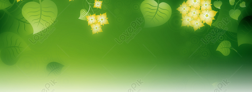 Green Background Images, 14000+ Free Banner Background Photos Download -  Lovepik