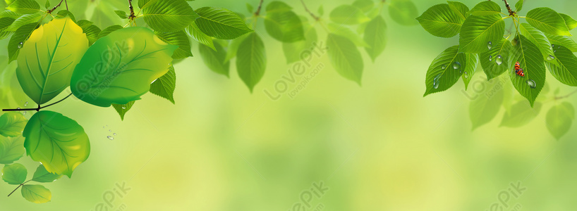 Green Nature Images, HD Pictures For Free Vectors Download 