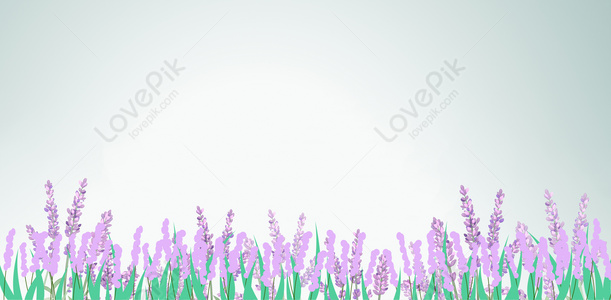 Lavender Background Images, HD Pictures For Free Vectors & PSD Download -  