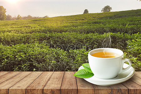 Tea Background Images, HD Pictures For Free Vectors & PSD Download -  