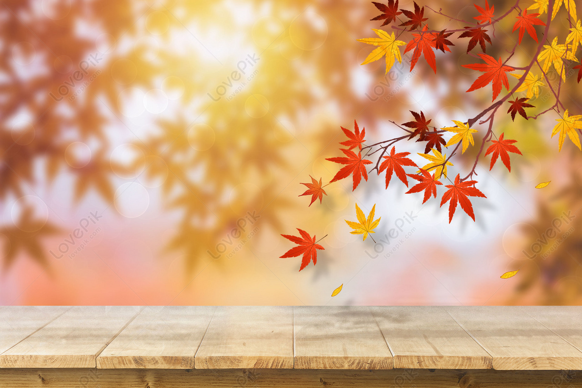 가을 배경 이미지, Hd 가을 배경, 가을, 메이플 리프 배경 사진 무료 다운로드 - Lovepik