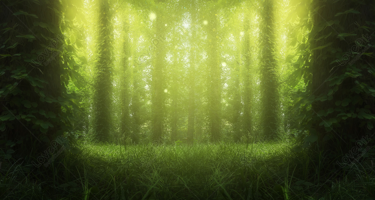 Dream Forest, beauty, natural, tree Background image