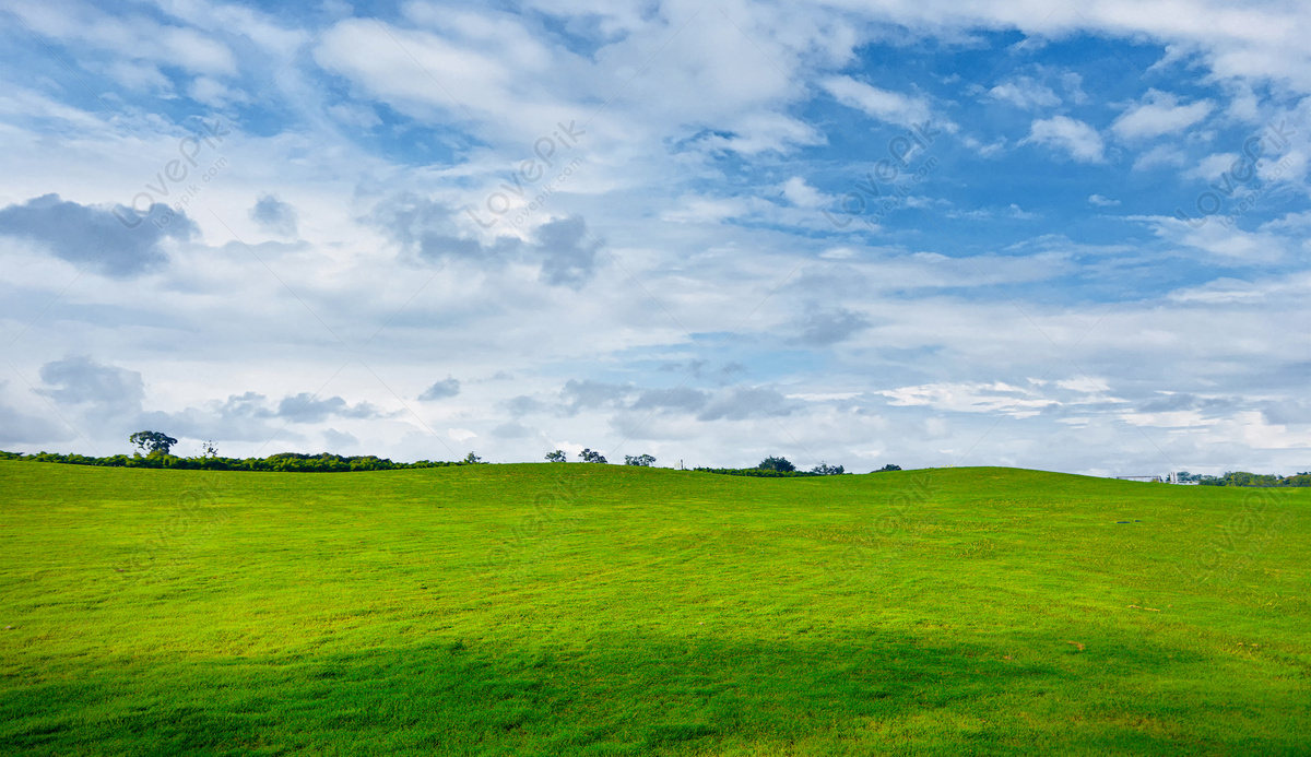 Hình Nền Cỏ Nền Trời, HD và Nền Cờ đẹp cỏ, nền cỏ, bầu trời để Tải ...