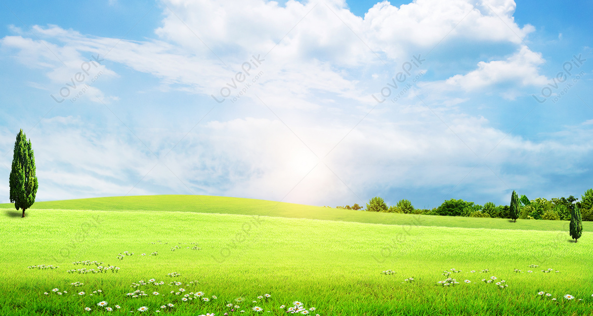 Grass Sky Background Download Free | Banner Background Image on Lovepik |  401769647