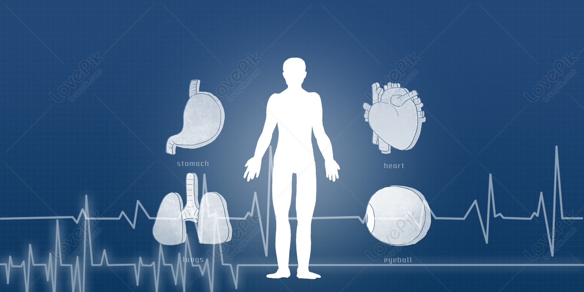 Medicina Molecular Humana Imagen de Fondo Gratis Descargar en Lovepik