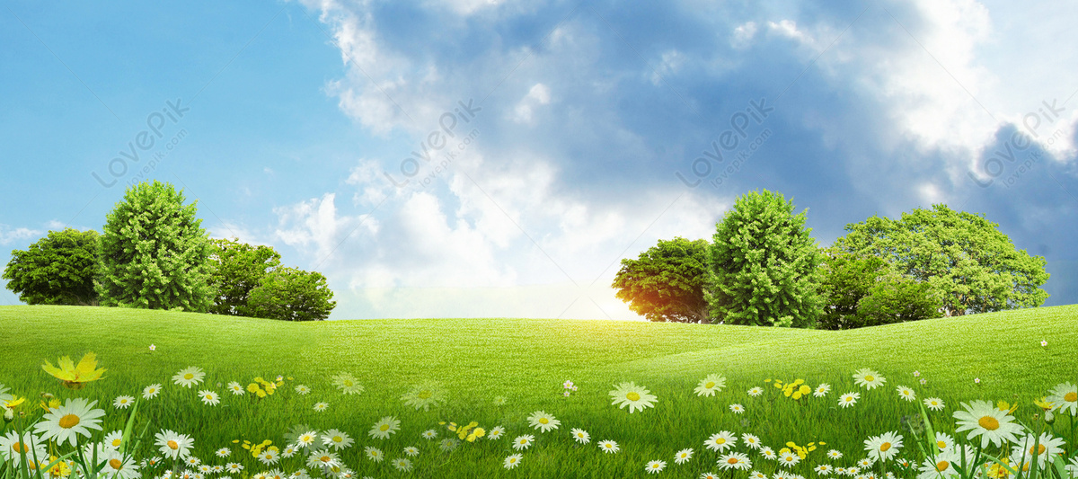 Plant Grass Background Download Free | Banner Background Image on Lovepik |  401901536